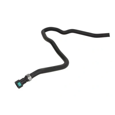 Image de THERMOTEC DWG112TT Durite De Refroidissement EPDM (éthylène propylène diène caoutchouc) FORD: Transit Custom V362 Van