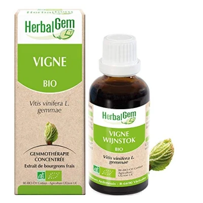 Image de Herbalgem Vigne Bio Complément Alimentaire Extrait De Bourgeon Frais sante circulatoir, drainage, antioxidant, peau 30 ml