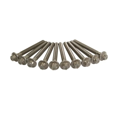 Image de REINZ 14 32212 01 Jeu De Vis Culasse Torx extérieur MERCEDES BENZ: Classe A, B
