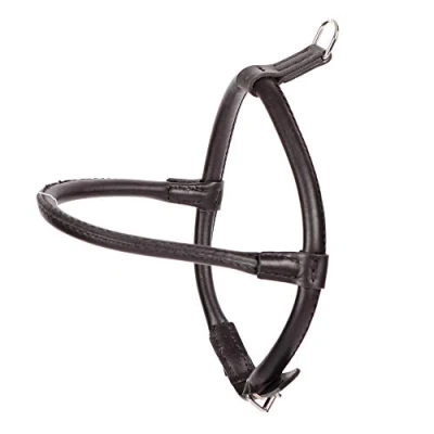 Image de Dingo 10577 Harnais en Cuir Noir pour Chien Chow et Fourrure