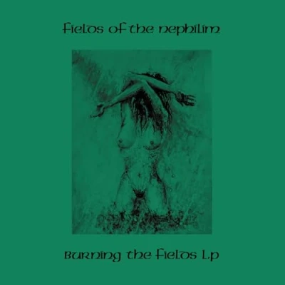 Image de Burning The Fields