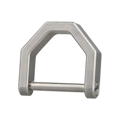 Image de Porte clés Anneaux en D Titane, Accessoires de U, Vis dans le Fermoir Fer à Cheval pour Clé Voiture