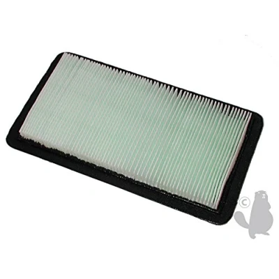 Image de Greenstar 5438 Filtre à air adaptable Honda pour moteurs GCV520/GCV530/GXV520/GXV530 221 x 121 25 mm