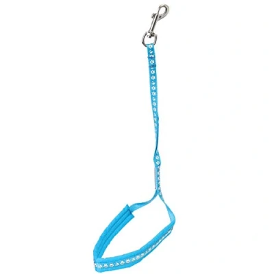 Image de Groom Professional Allon Basic Noose with Padding Paw Print Cyan Blue 45cm