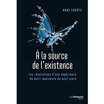 Image de A la source de l&#039;existence Les révélations d&#039;une expérience mort imminente neuf jours
