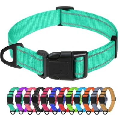 Image de TagME Collier pour Chien, en Nylon Réfléchissant Réglable Classique Convient Petit Chiens, Turquoise, 1.5cm Largeur
