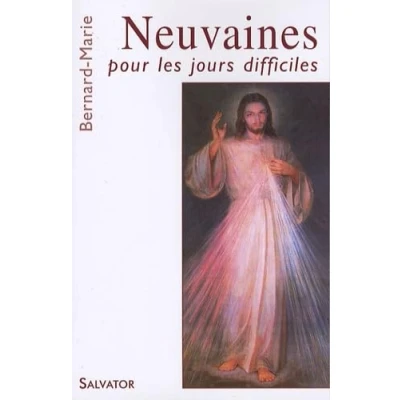 Image de Neuvaines pour les jours difficiles Livre d’occasion Correct