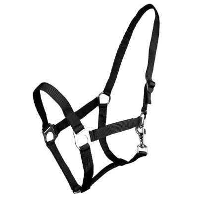 Image de Licol avec glissière QHP