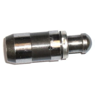 Image de FRECCIA PI 06 0017 Poussoir hydraulique Côté d&#039;échappement, d&#039;admission PEUGEOT: Boxer Van, 406 Berline, Minibus