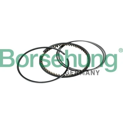 Image de Jeu de segments pistons Borsehung B10367