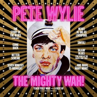 Image de Teach Yself Wah/The Best of Pete Wylie