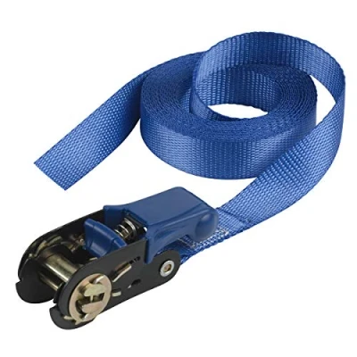 Image de Master Lock 4365EURDAT Sangle à Cliquet Certifiée, Bleu, 5m x 25mm