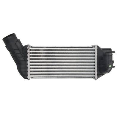 Image de THERMOTEC DAC019TT Intercooler PEUGEOT: 308 I 3/5 portes, 3008 I, Partner II Van, CITROËN: DS5 5 DS4 C4 Picasso 1, DS: