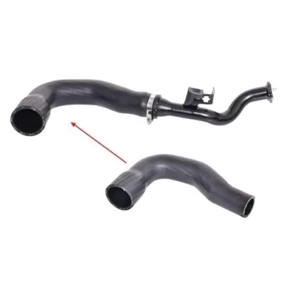 Image de BUGIAD 88492 Gaine De Suralimentation FIAT: Grande Punto 3/5 portes, Evo Doblo II Van / Break