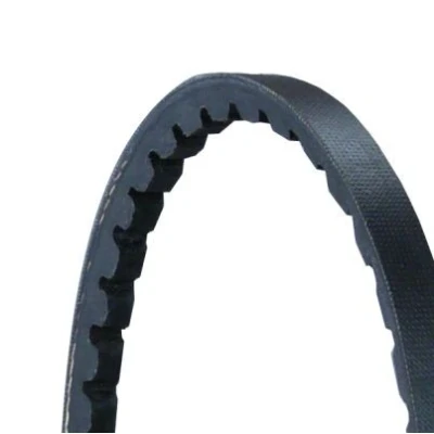 Image de CONTITECH AVX10X858 Courroie Trapézoïdale 858 BMW: 3 Touring