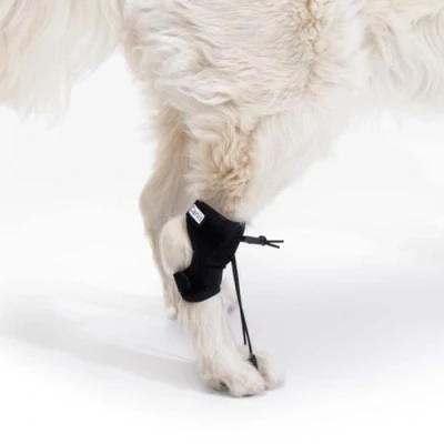Image de Ortocanis Attelle Chien, Correcteur Proprioceptif, Chien souffrant de “Knuckling, Taille S