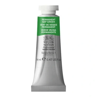 Image de Winsor &amp; Newton Aquarelle Professionnel Peinture Aquarelle, Haute Luminosité, Résistante à la Lumière, Qualité Archive, Tube de 14 ML, Couleur Vert Vessie Permanent