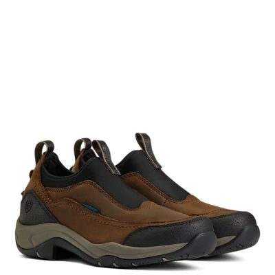Image de Ariat Chaussures d&#039;écurie Terrain Ease H2O Marron