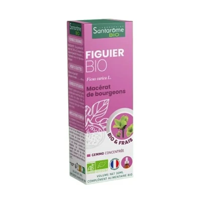Image de Santarome Bio Figuier Bourgeons et Frais U52