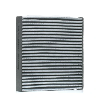 Image de VALEO CLIMFILTER PROTECT 698715 Filtre d&#039;habitacle à charbon actif 209 206 30 RENAULT: LAGUNA 2, Vel Satis, 2 Grandtour