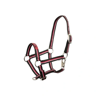 Image de Premiere Halter poulain amusant Veulen XS VERVALLEN Fuchsia Violet