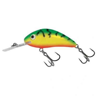 Image de Leurre flottant Salmo Rattlin&#039; Hornet 6g