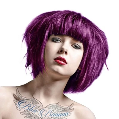 Image de La Riche Directions Lot de 2 colorations pour cheveux 88 ml (prune)