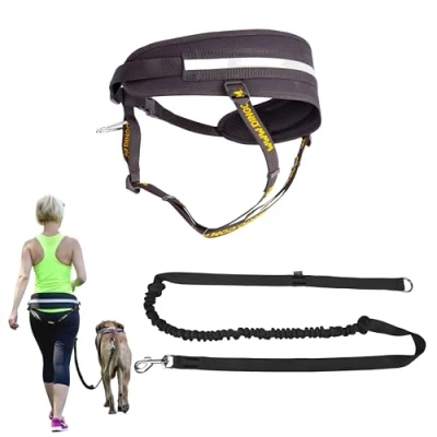 Image de Dingo Z30004 Ceinture de Course Multifonction + Laisse pour Chien avec poignée, Mousqueton et Amortisseur Chocs Noir Canicross Le Jogging Dogtrekking, Skijöring
