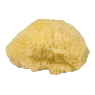 Image de Rayher Eponges naturelles, 1 lot, 3 pces, 6 7,5cm, pores fins et grossiers, arts créatifs, peinture, nettoyage 3864600, Jaune