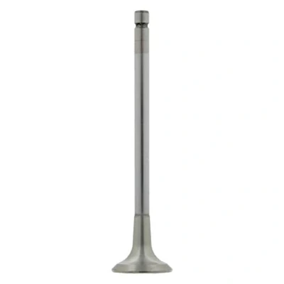 Image de FEBI BILSTEIN 26030 Soupape d&#039;Échappement 24,54 PEUGEOT: 307 3/5 portes, 206 207 CITROËN: C2 C4 I portes