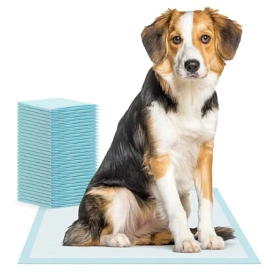 Image de 125x ARNOMED tapis pour chiots, accessoires chiots en 60x90cm, chiens de petite taille, absorbant à usage unique, pipi 5 couches, Puppy Pads