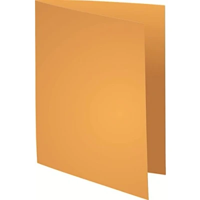 Image de Exacompta Réf. 217126E Carton de 100 chemises rigides ROCK&#039;&#039;S 210 g/m2 aux couleurs vives certifiées PEFC™ dimensions 24 x 32 cm pour format A4 couleur ocre