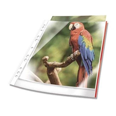 Image de DURABLE Pochettes perforées transparentes PREMIUM A4 à bords colorés 10 pièces Rouge 265403