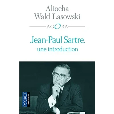 Image de Jean Paul Sartre, une introduction Livre d’occasion Correct