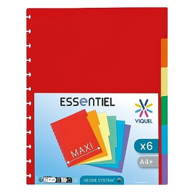 Image de Viquel Lot de 6 Intercalaires Maxi A4 avec perforation spéciale pour porte vues GEODE à pochettes amovibles