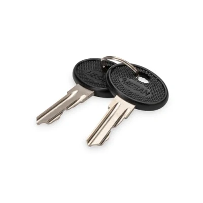 Image de DIGITUS Clé de Remplacement pour armoires réseau Varioflex, Coffrets muraux Unique &amp; Serveur et IP55 Deux pièces Noir/Argent