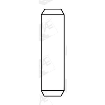 Image de AE VAG96168B Guide de soupape 9,02 Bronze