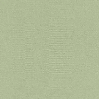 Image de Rasch 423938 Poetry Papier peint intissé universel Vert 10,05 m x 0,53