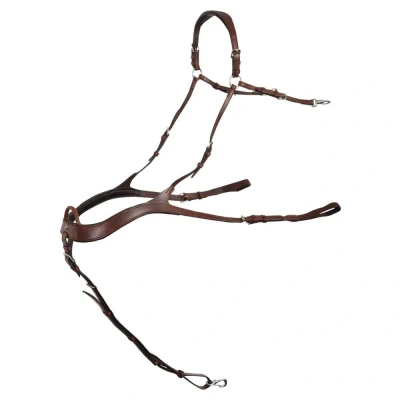 Image de BR Véhicule Heywood anatomique Cob Oak / Zilver Marron