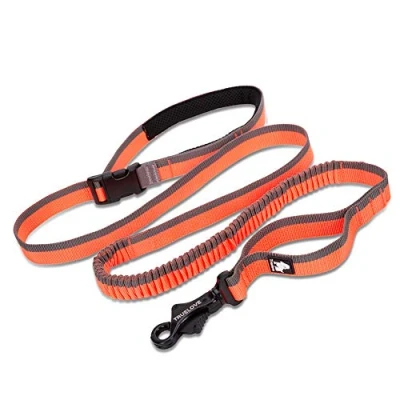 Image de TRUE LOVE Longue Laisse de Chien élastique Mains Libres Ajustable Absorbant Les Chocs TLL2271 (Orange, L)