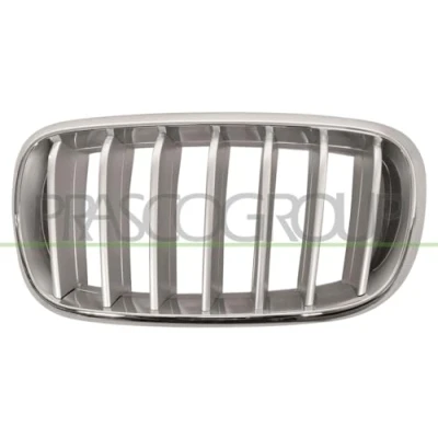Image de BLIC 6502 07 00969955P Calandre avant gauche titane, chrome BMW: X5, X6