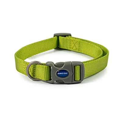 Image de Ancol Viva Quick Fit Collier réglable résistant aux intempéries Vert Citron Taille 1 2 pour 20 30 cm