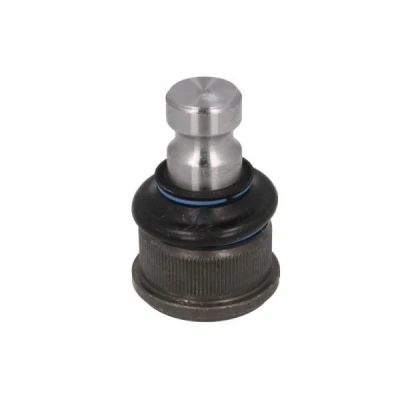 Image de REINHOCH RH03 2022 Rotule de suspension des deux côtés l&#039;essieu avant, inférieur 24 RENAULT: MASTER 2 Kasten, Pritsche/Fahrgestell