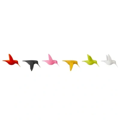 Image de QUALY QL10102M Lot de 6 aimants en Forme colibris