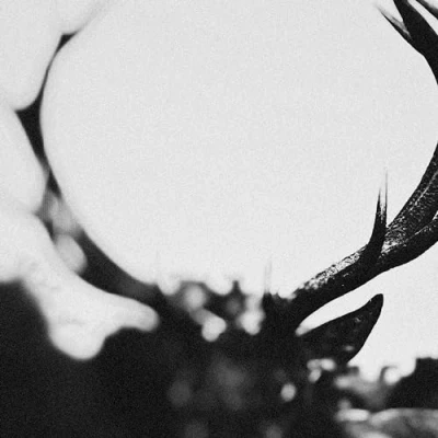 Image de Ihsahn (Version Orchestrale)