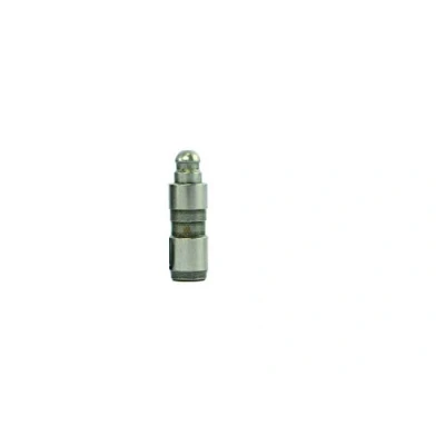 Image de BGA HL6342 Poussoir hydraulique Côté d&#039;échappement, d&#039;admission RENAULT: ESPACE 3, CLIO 2, Modus / Grand Modus, DACIA: Duster SUV
