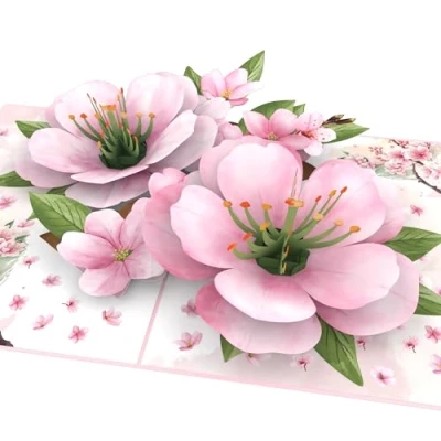 Image de MOKIO® Carte Fleur Pop Up Fleurs de Cerisier Japonais cadeau 3D pour un anniversaire ou comme bon cadeau, Sakura Arbre vœux