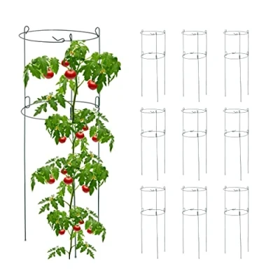 Image de Relaxdays Tuteur à tomates Rond en Lot de 10, Support Jardin pour Plantes, Circulaire, H x D : env. 76 26 cm, Vert