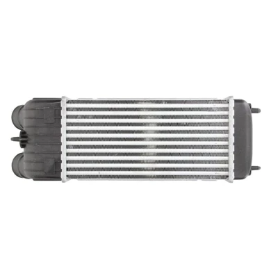 Image de NRF 30196 Intercooler CITROËN: C3 II, Picasso, I 3/5 portes, PEUGEOT: 207 CC, 1007 3 portes