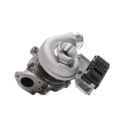 Image de RIDEX 2234C10120 Turbocompresseur LAND ROVER: Range Rover Evoque, Freelander 2 SUV